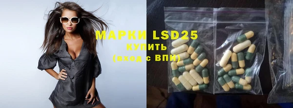 PSILOCYBIN Горняк