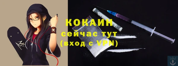 PSILOCYBIN Горняк
