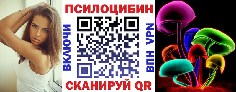 Псилоцибиновые грибы Psilocybe  где купить наркоту  Осинники 
