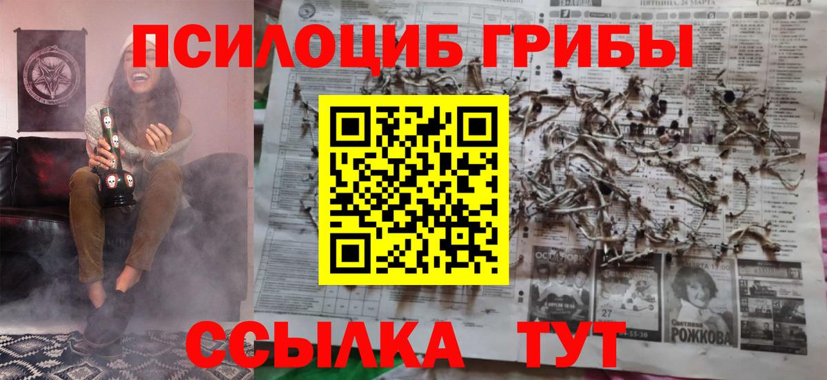 Псилоцибиновые грибы MAGIC MUSHROOMS Осинники